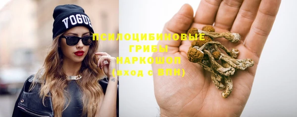 Альфа ПВП Беломорск