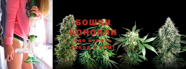 амф Белокуриха